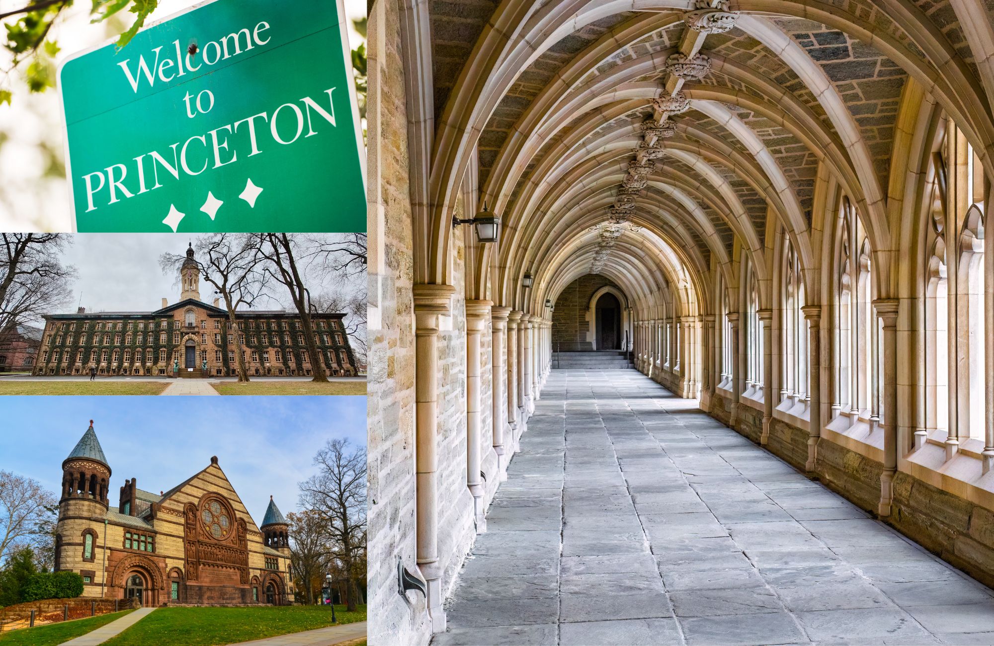 great gatsby princeton