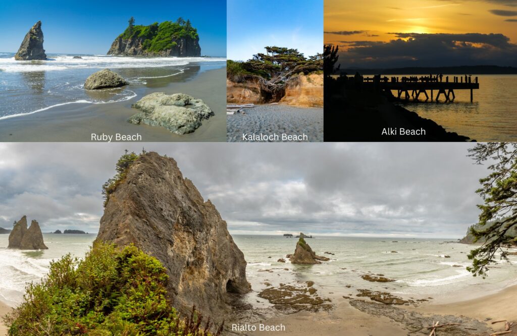 Explore Washington's stunning beaches, from the misty shores of Ruby Beach to the scenic sands of Alki and Kalaloch. Discover rugged coastlines, sea stacks, tide pools, and unforgettable Pacific Northwest views.