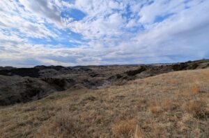 Roosevelt NP Badlands