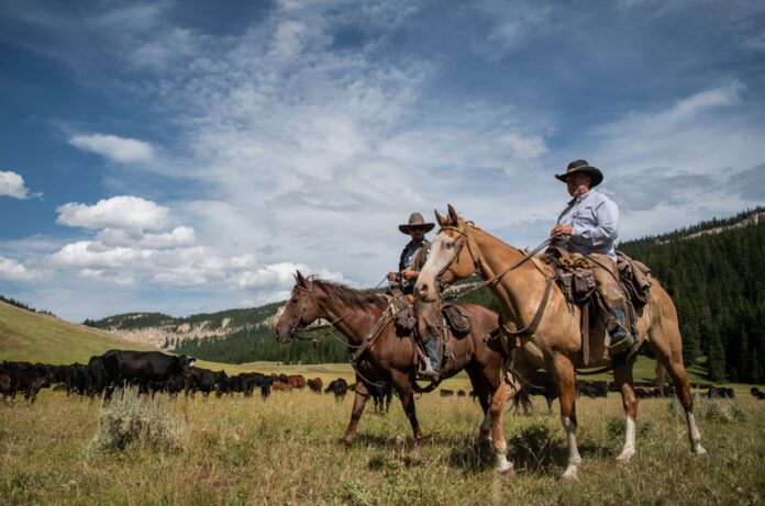 Double Rafter Cattle Drives - Sheridan, Wyoming