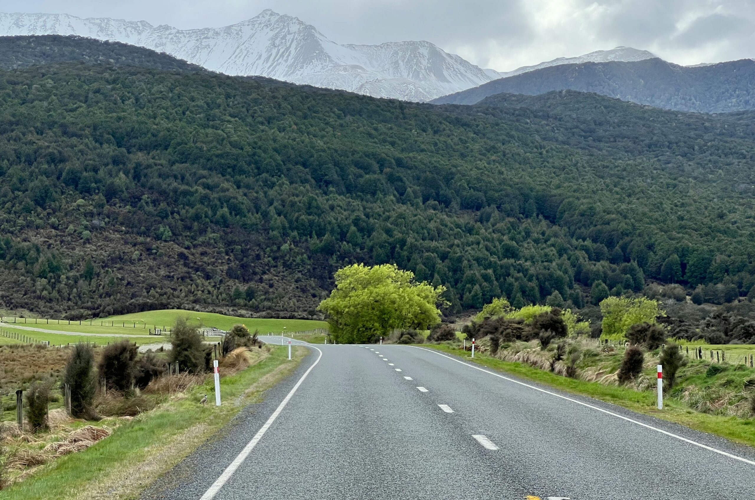 Southland Region New Zealand