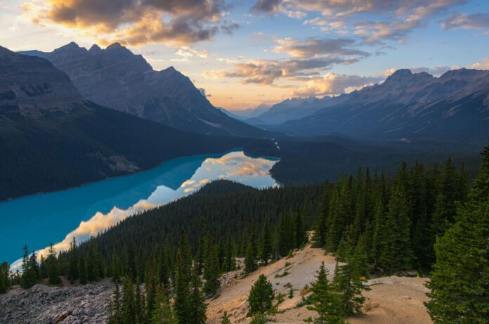 peyto lake canada
