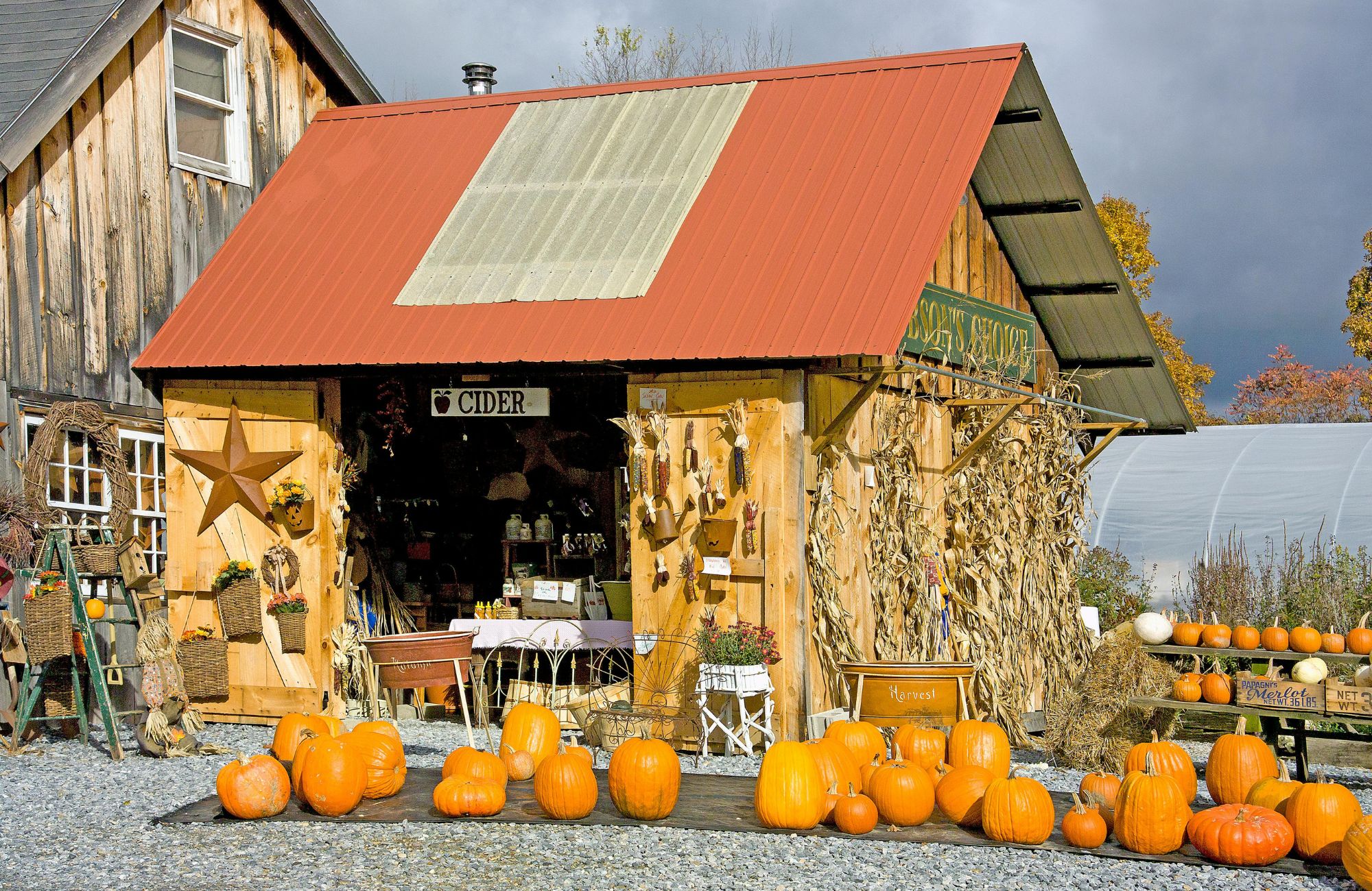 vermont fall pumpkins