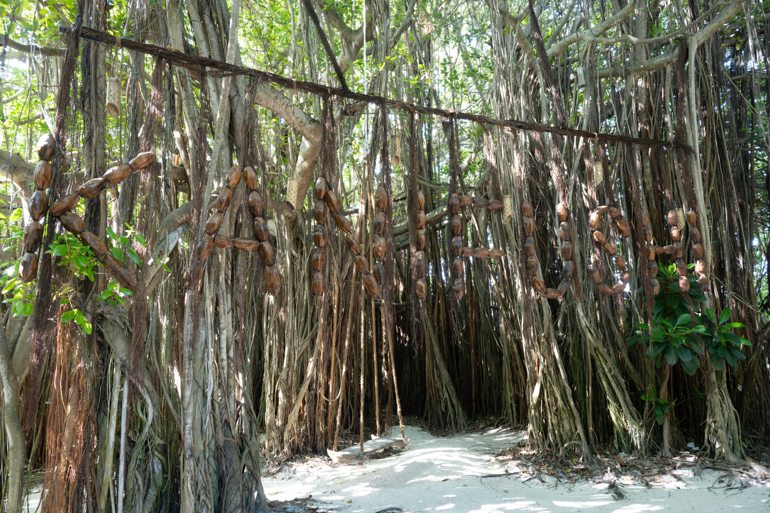 Banyan tree